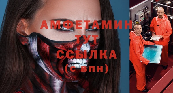 молекула духа Каменногорск