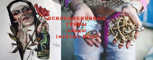 молекула духа Каменногорск