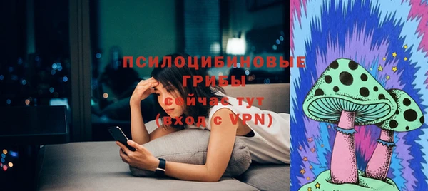 молекула духа Каменногорск