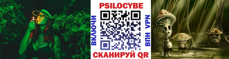ОМГ ОМГ вход  Новошахтинск  Псилоцибиновые грибы MAGIC MUSHROOMS 