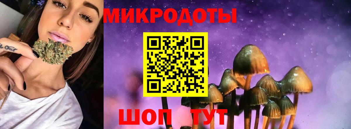 Псилоцибиновые грибы MAGIC MUSHROOMS Новошахтинск