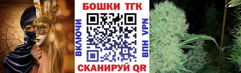 где купить наркотик  Новошахтинск  Каннабис ГИДРОПОН 